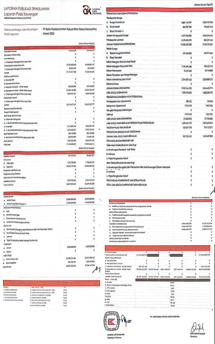 Laporan Publikasi Triwulan I 2025