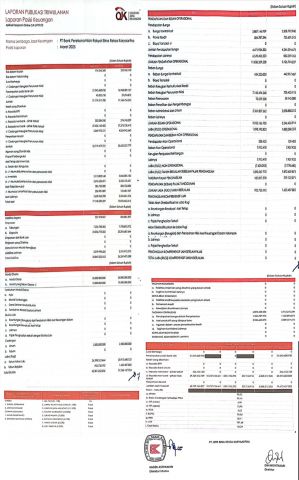 Laporan Publikasi Triwulan I 2025